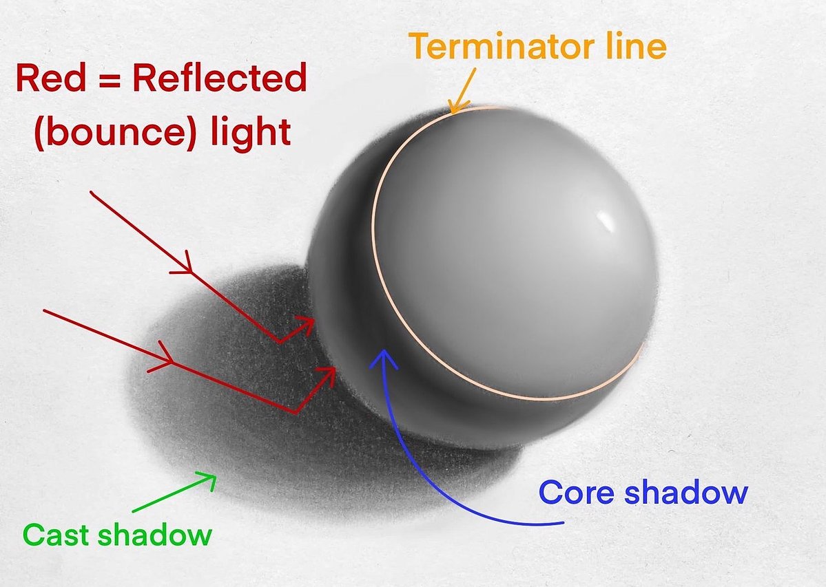 understanding cast shadow vs form shadow - 101 animation lessons ...