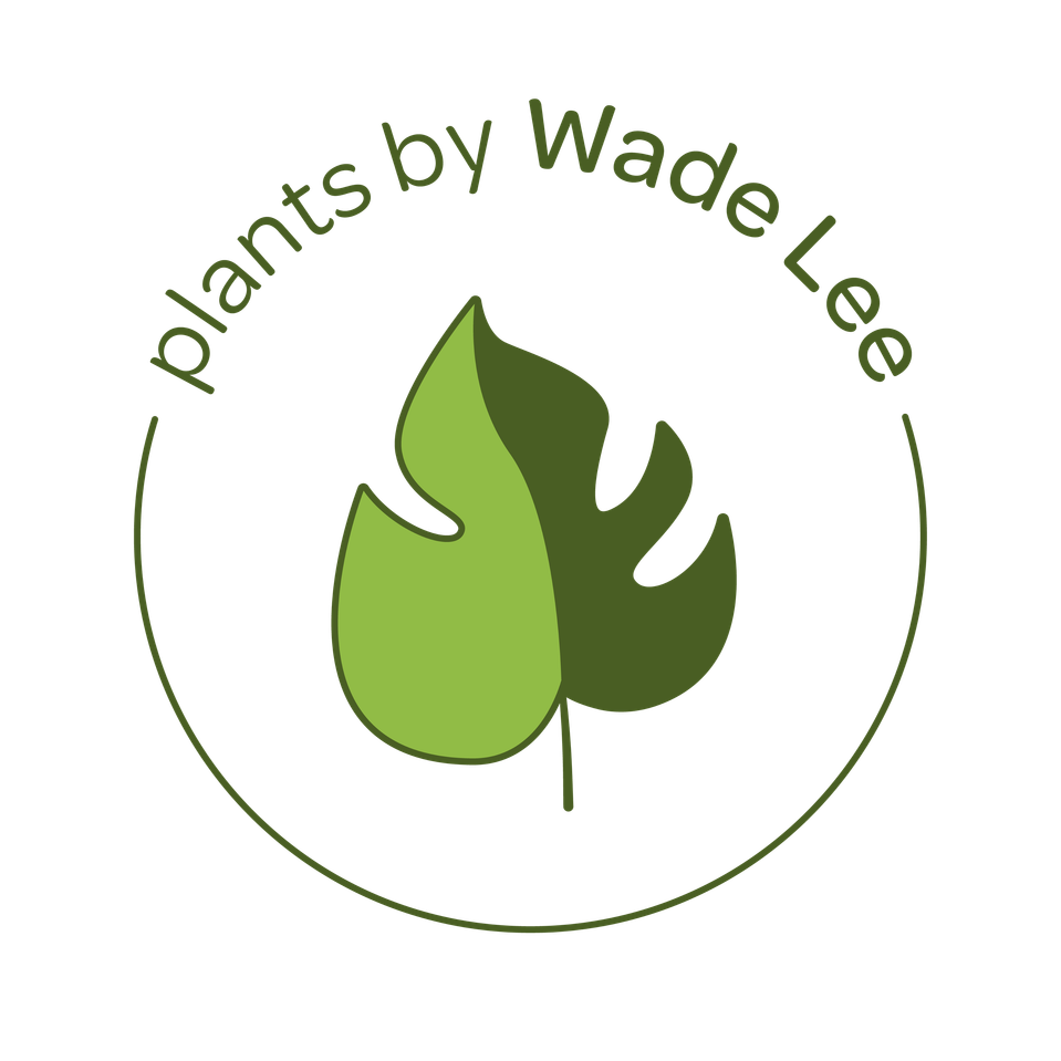 Plants by Wade Lee