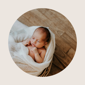 Martina Pronzello, photographe professionnelle basée à Rennes, propose des portraits, photos e-commerce, packshots, famille et mariage. Séances photo en Bretagne, photographe en Ille-et-Vilaine