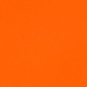 Orange tree