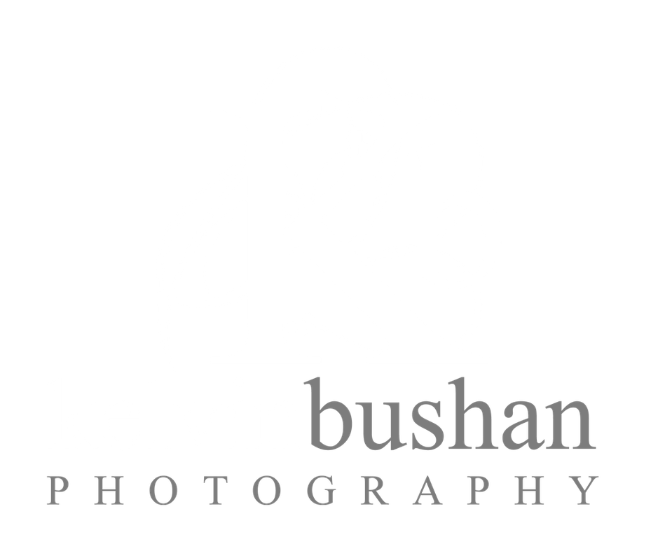 Kelvinbushan Photography