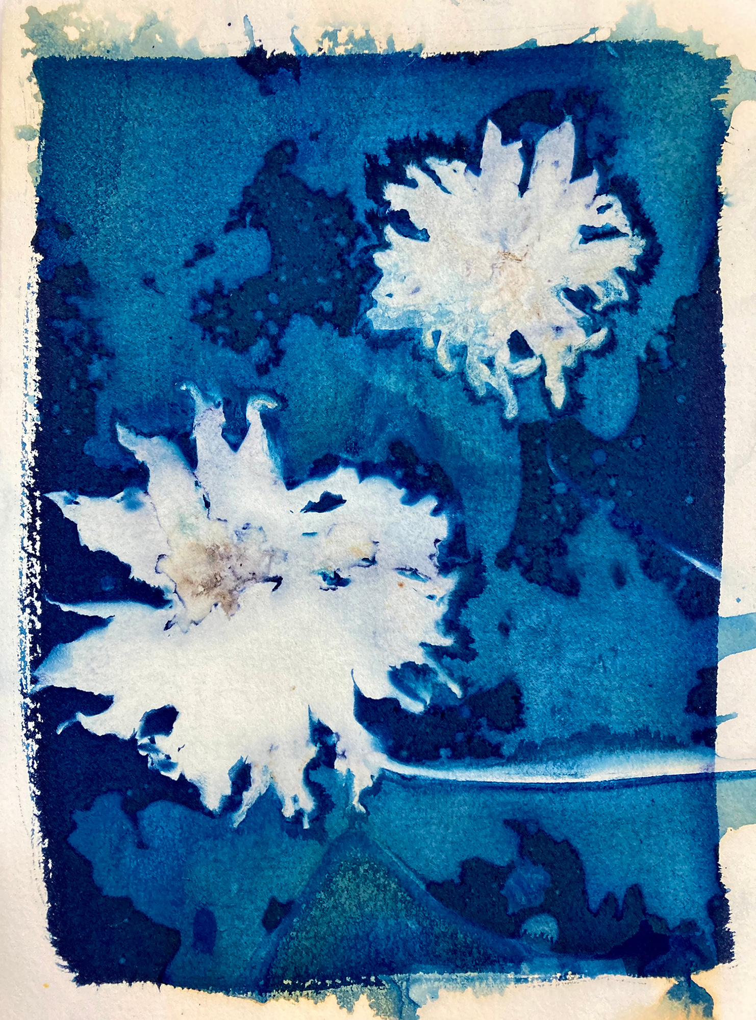 Hand painted cyanotype on paper, abstract and painterly white botanicals in a sea of blue. Ethereal Botanicals.