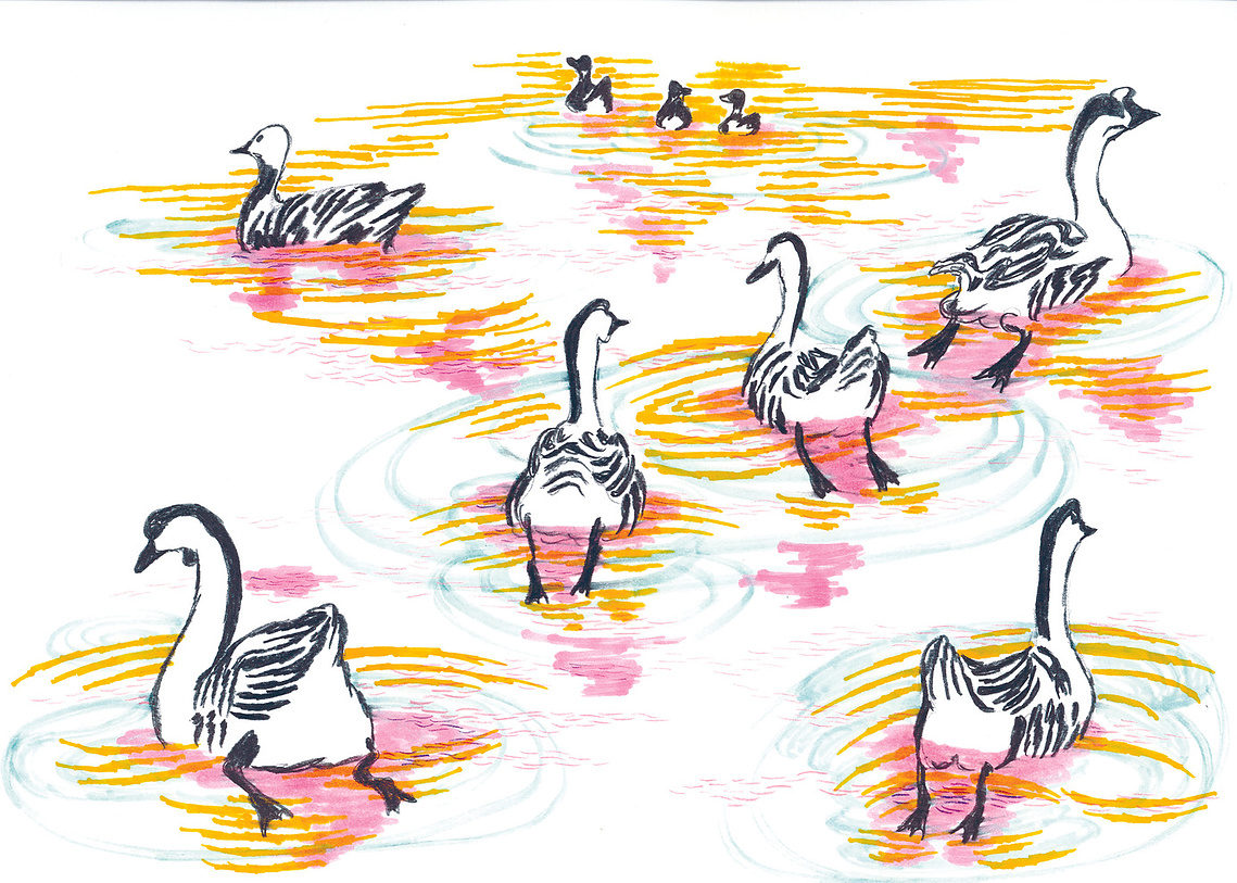 Markers and pastel colors,  42x30 cm.