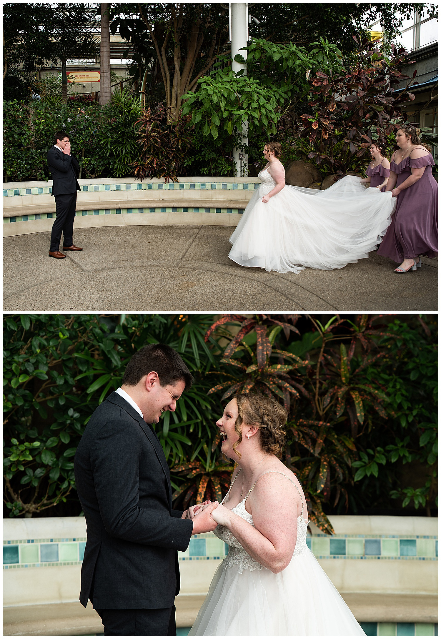 Phipps Conservatory Wedding Photos, Pittsburgh Wedding Photographer