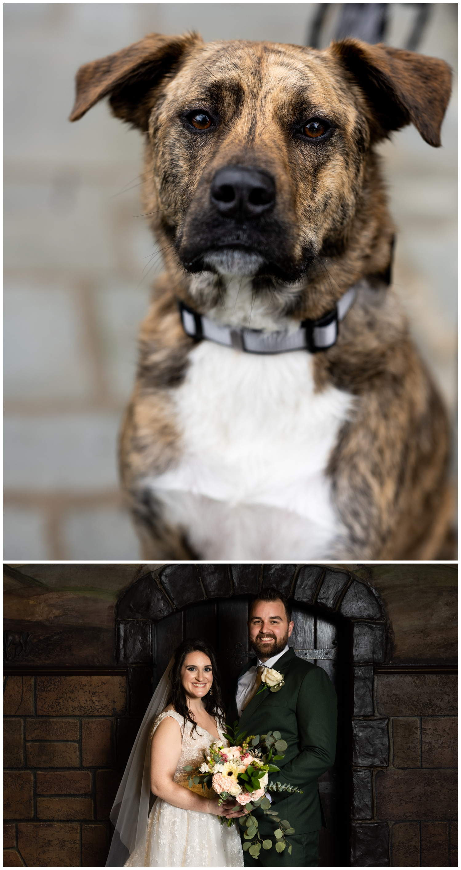 Black Dog Winery Wedding Photography, Pittsburgh Wedding Photographers, Bold Pittsburgh photographer