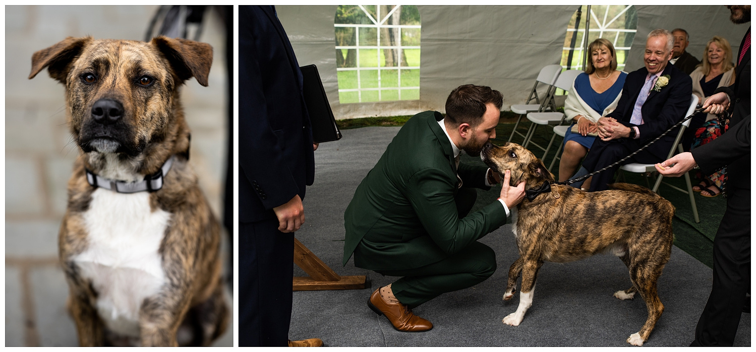 Black Dog Winery Wedding Photography, Pittsburgh Wedding Photographers, Bold Pittsburgh photographer