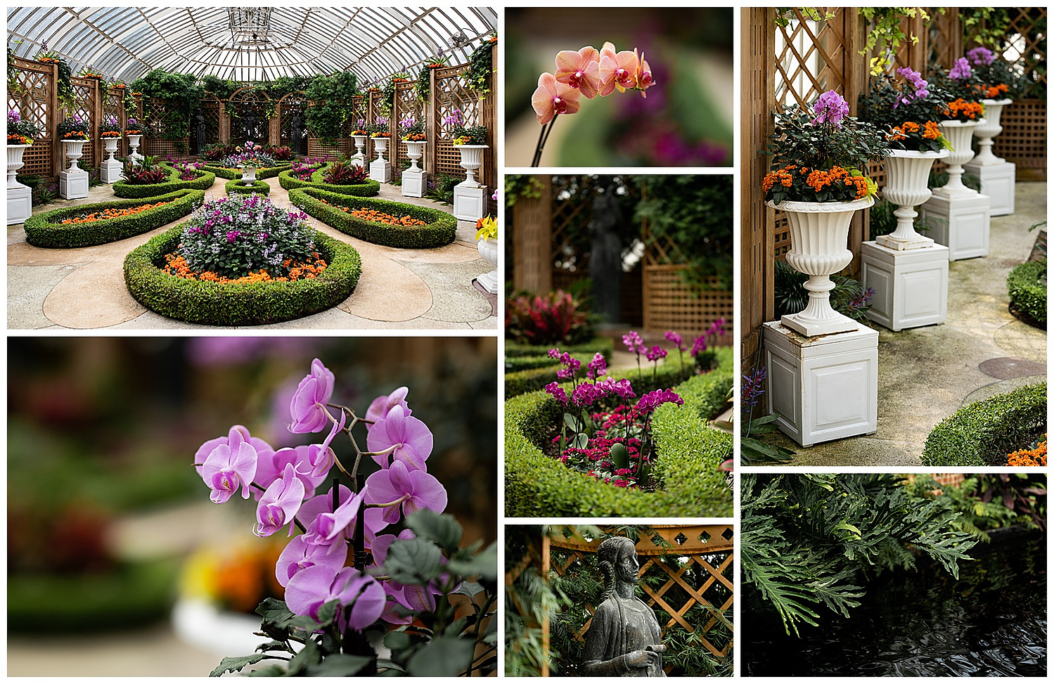 Phipps Conservatory Wedding Photos