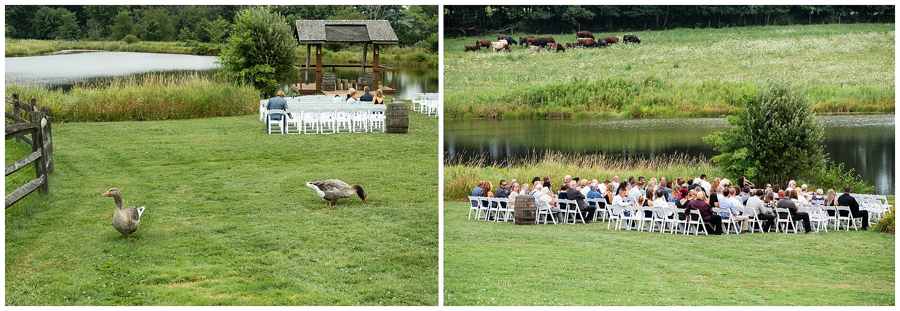 Pittsburgh wedding photography at Armstrong Farms wedding 