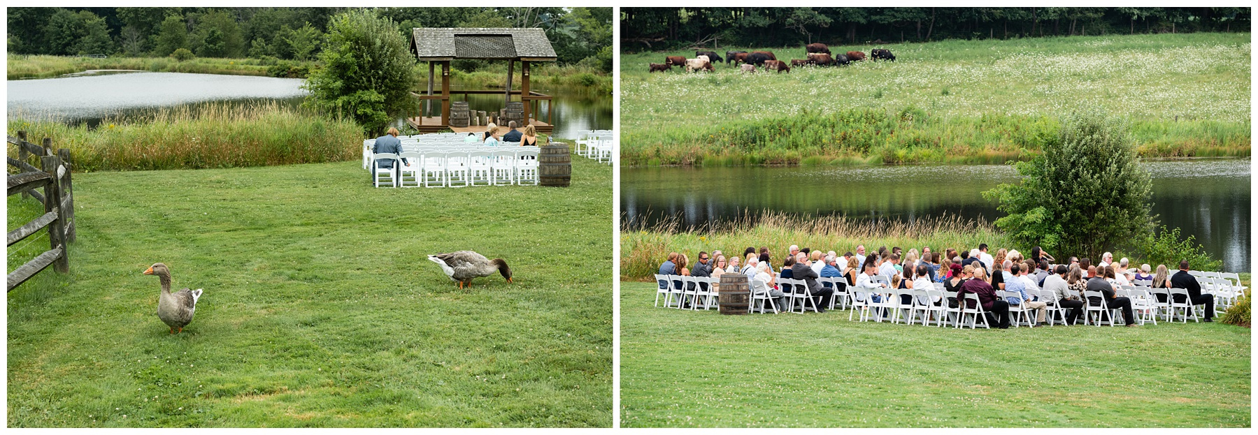 Pittsburgh wedding photography at Armstrong Farms wedding 