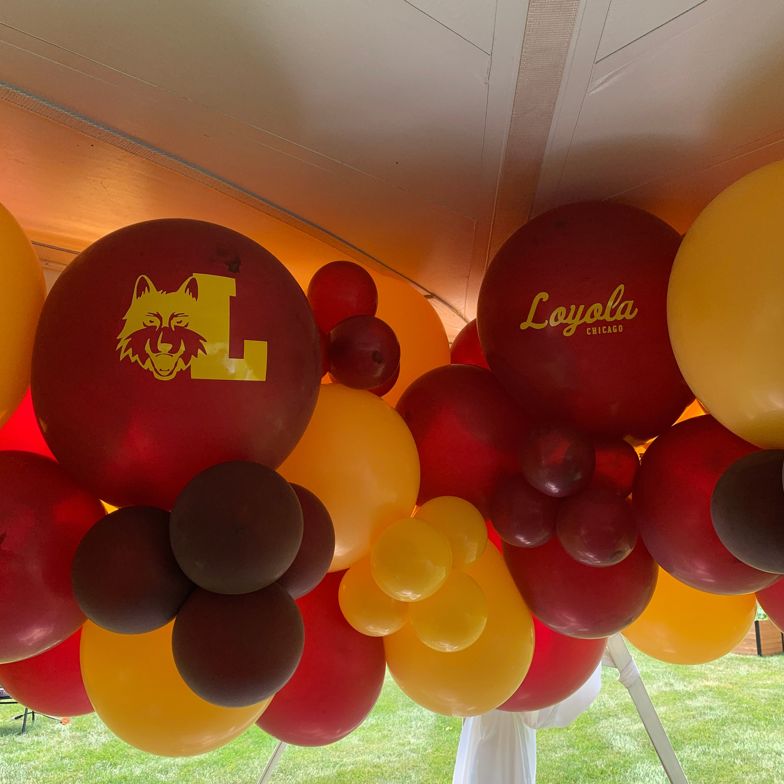 a bundle of red brown and yellow balloons mounted to a white tent with some red balloons with text of a university logo 