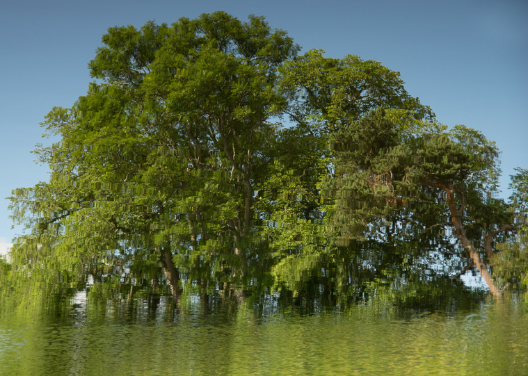 Reflection, Caledonian Canal, Scotland, 2014