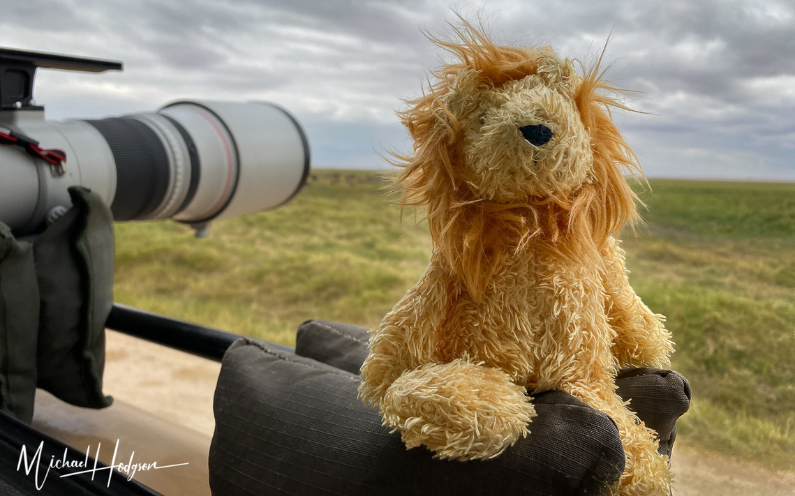 Stuffed toy lion sitting on a bean bag next to a camera inside a photo safari vehicle in Kenya. 