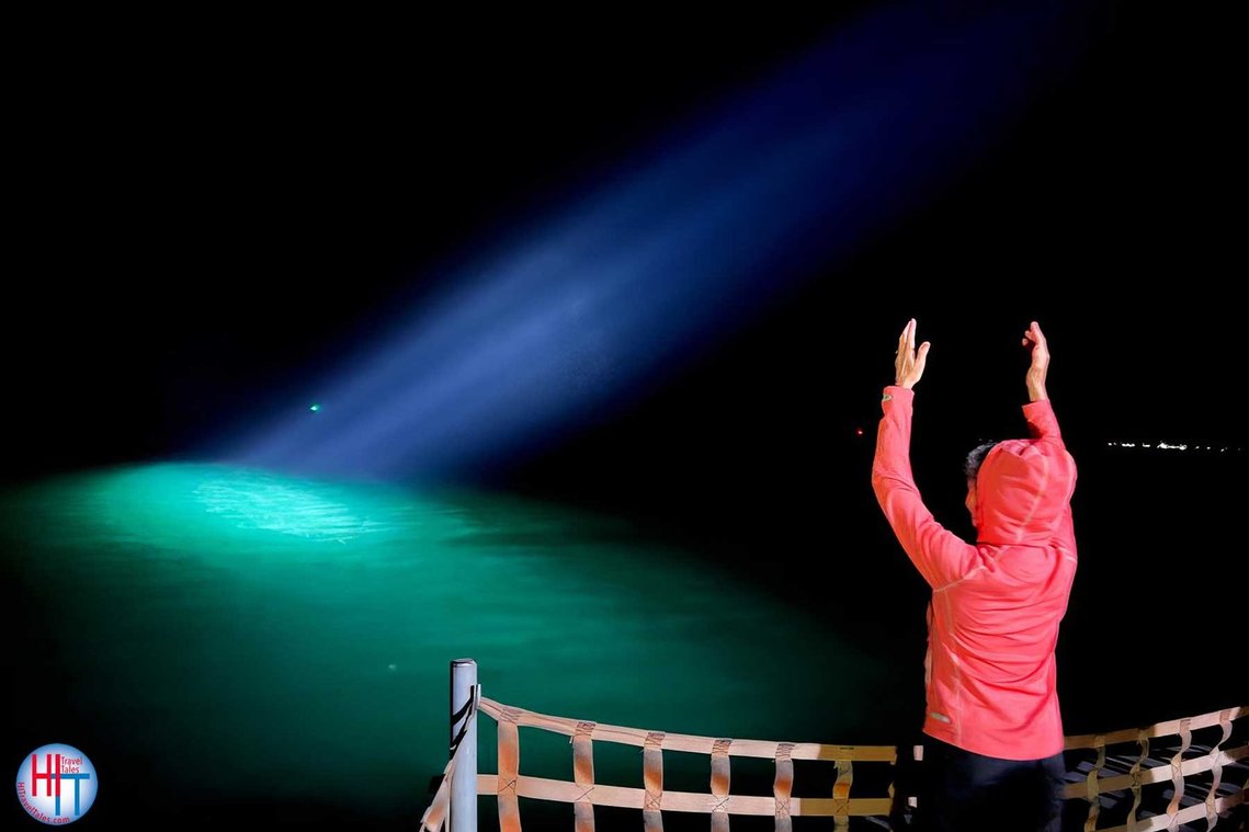 The author raising her arms in celebration of light and the night. 