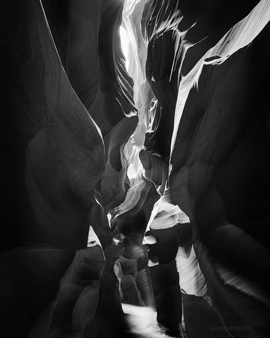 UTAH ANTELOPE 2 BW