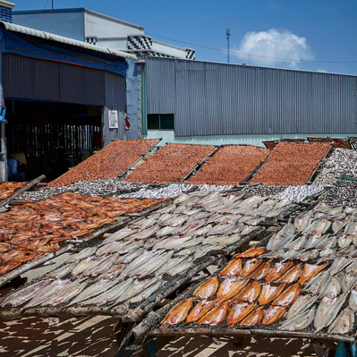 Photojournalist Vietnam Mekong Delta  
Photos by James Wicks Photo 
Copyright 2022
@jameswicksphoto
