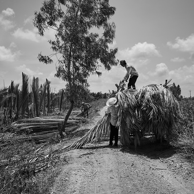 Photojournalist Vietnam Mekong Delta  
Photos by James Wicks Photo 
Copyright 2022
@jameswicksphoto