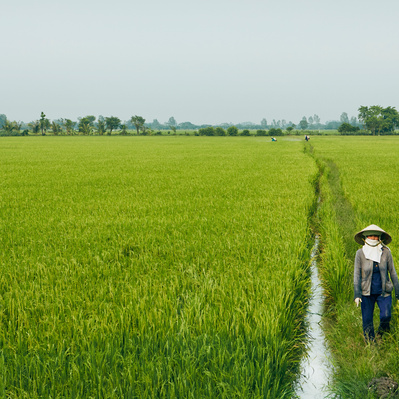 Photojournalist Vietnam Mekong Delta  
Photos by James Wicks Photo 
Copyright 2022
@jameswicksphoto