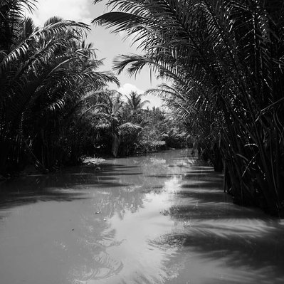 Photojournalist Vietnam Mekong Delta  
Photos by James Wicks Photo 
Copyright 2022
@jameswicksphoto