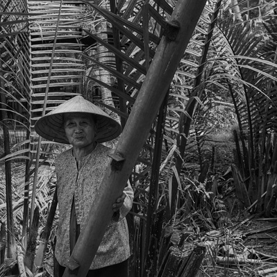 Photojournalist Vietnam Mekong Delta  
Photos by James Wicks Photo 
Copyright 2022
@jameswicksphoto