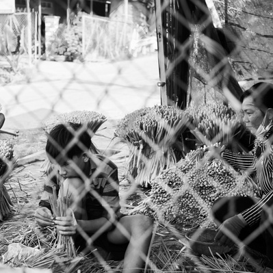 Photojournalist Vietnam Mekong Delta  
Photos by James Wicks Photo 
Copyright 2022
@jameswicksphoto