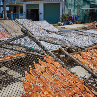 Photojournalist Vietnam Mekong Delta  
Photos by James Wicks Photo 
Copyright 2022
@jameswicksphoto