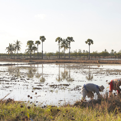 Photojournalist Vietnam Mekong Delta  
Photos by James Wicks Photo 
Copyright 2022
@jameswicksphoto