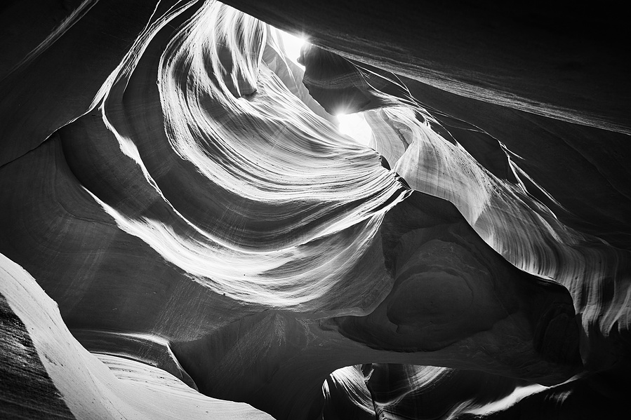 UTAH ANTELOPE 1 BW