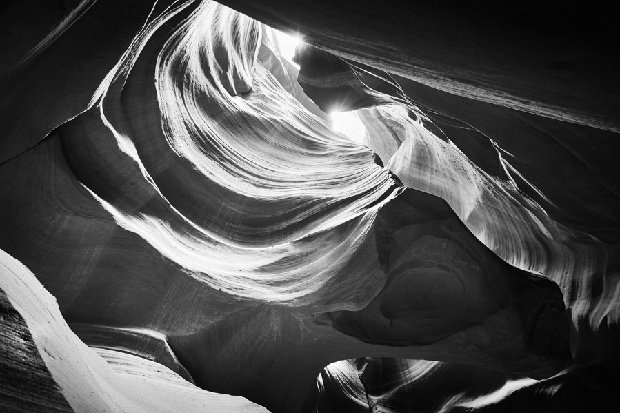 UTAH ANTELOPE 1 BW