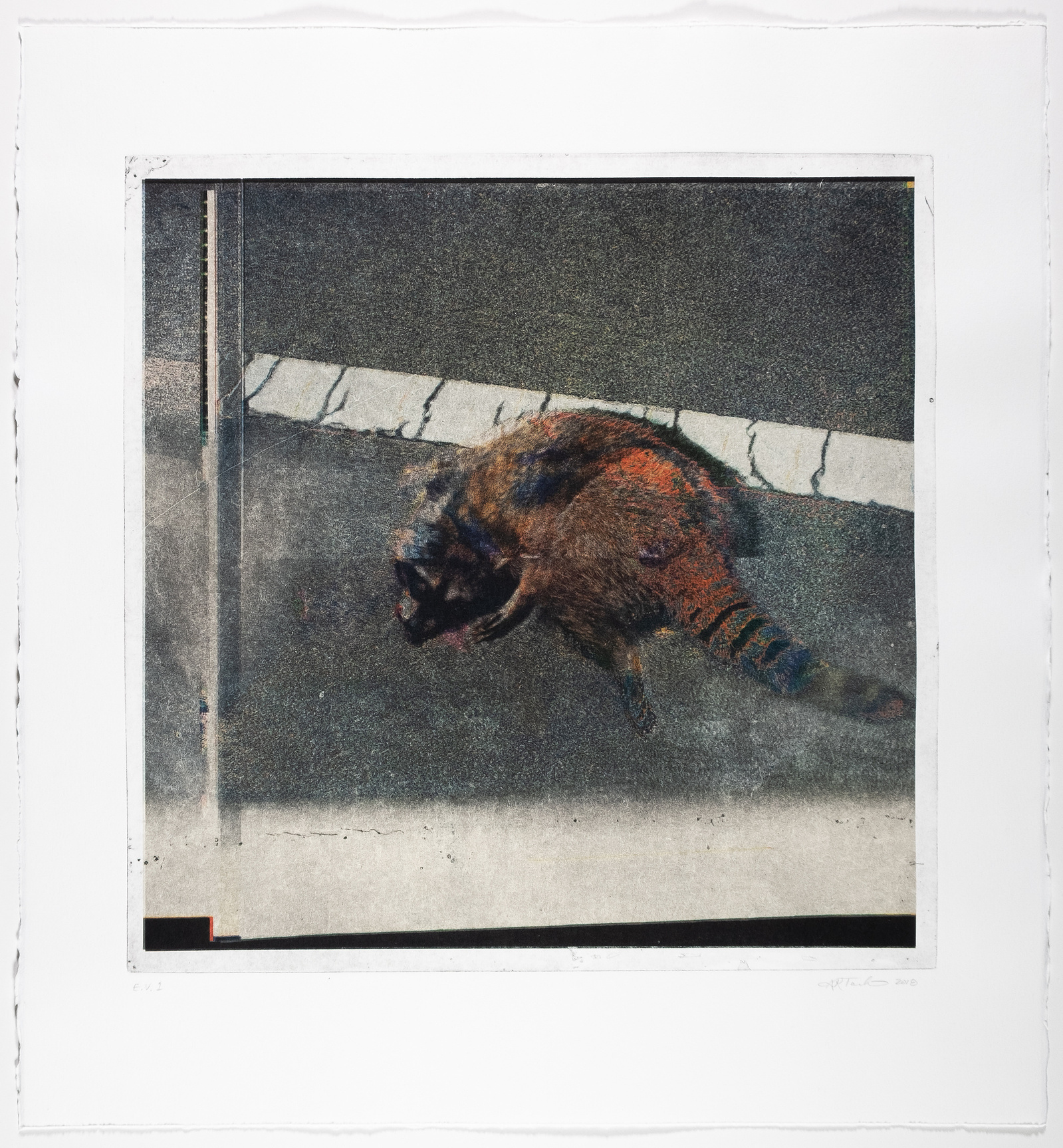 A glitched dead raccoon.