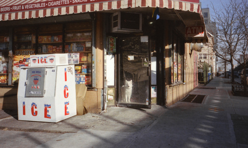 Brooklyn, 2018
