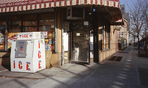 Brooklyn, 2018