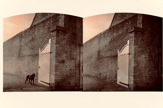 Image by Spencer Rowell