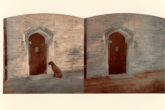 Image by Spencer Rowell