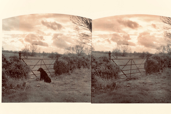 Image by Spencer Rowell
