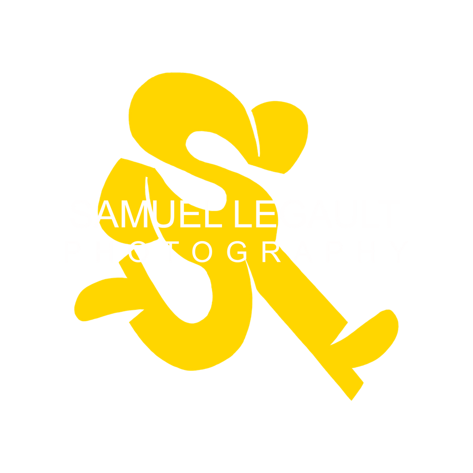 Samuel Legault's Portfolio