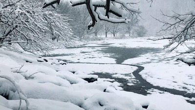 Snow drapes the shore of New York's Inwood Hill Park.
