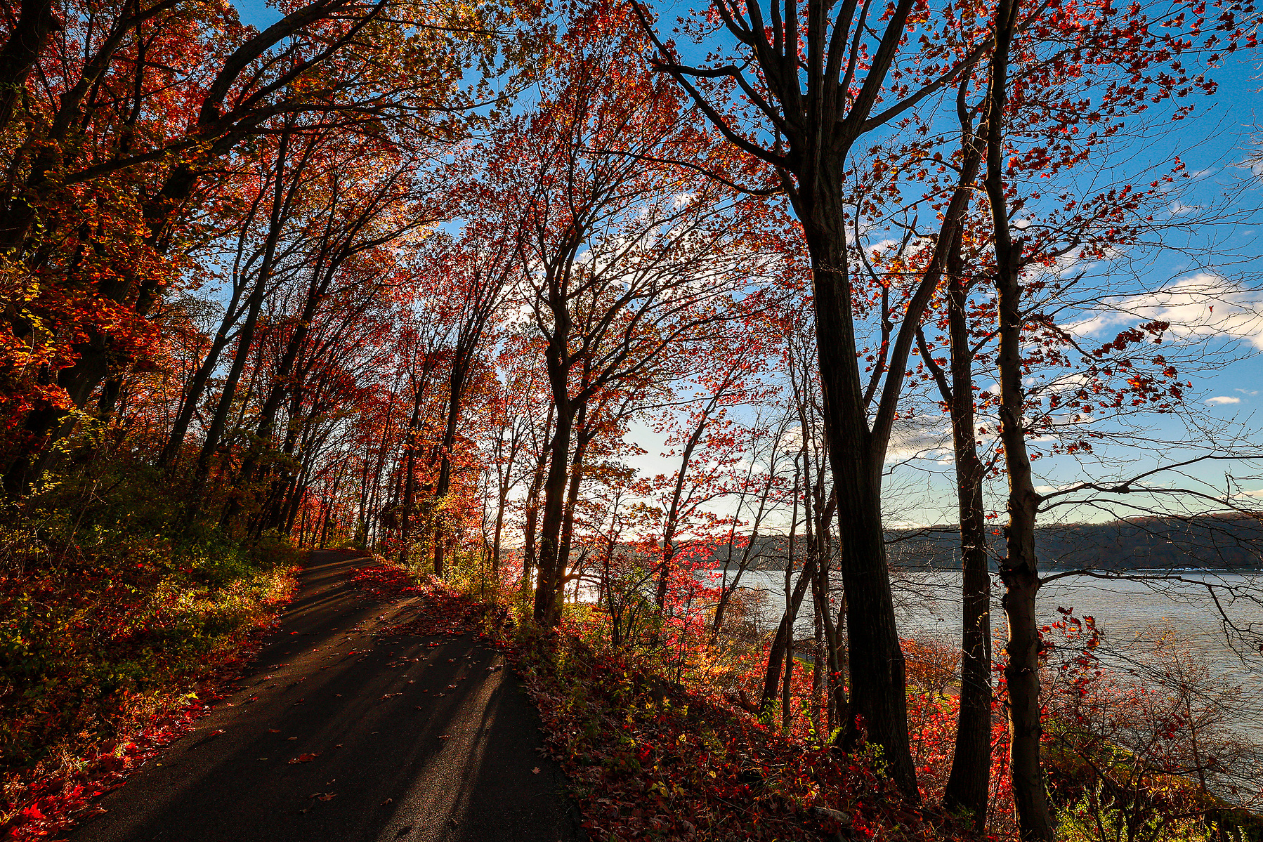 Autumn glows red above a walking path along the Hudson River in New York's Inwood Hill Park.