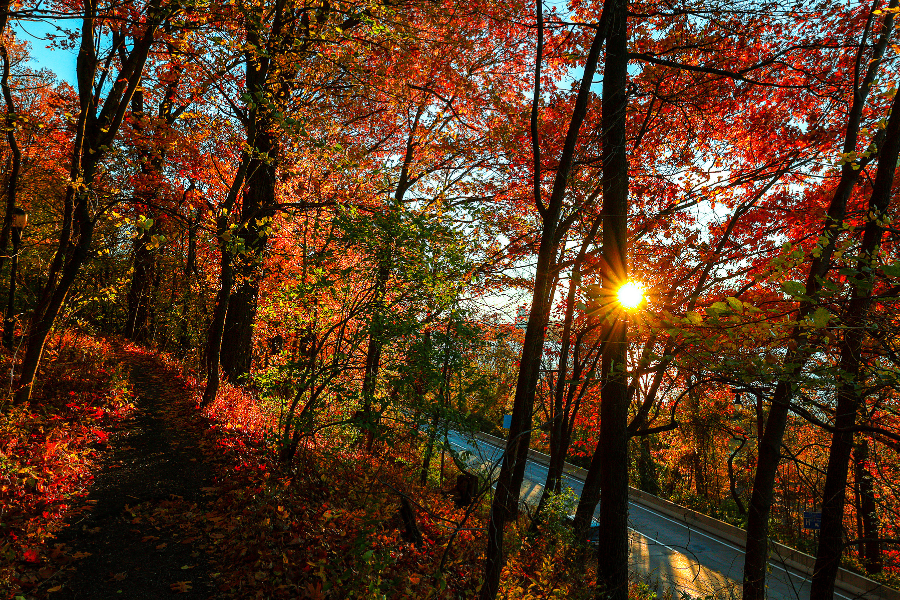 Fall foliage glows above the Henry Hudson Parkway in New York City's Inwood Hill Park.
