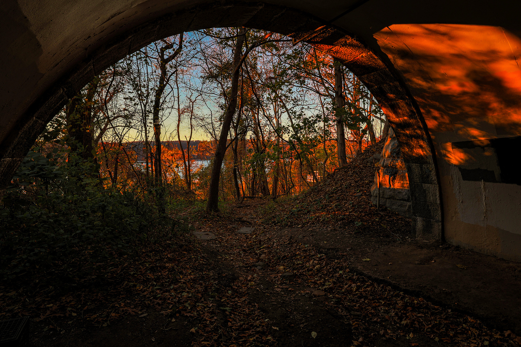 The late afternoon sun glints through an underpass overlooking the Hudson River in Inwood Hill Park.