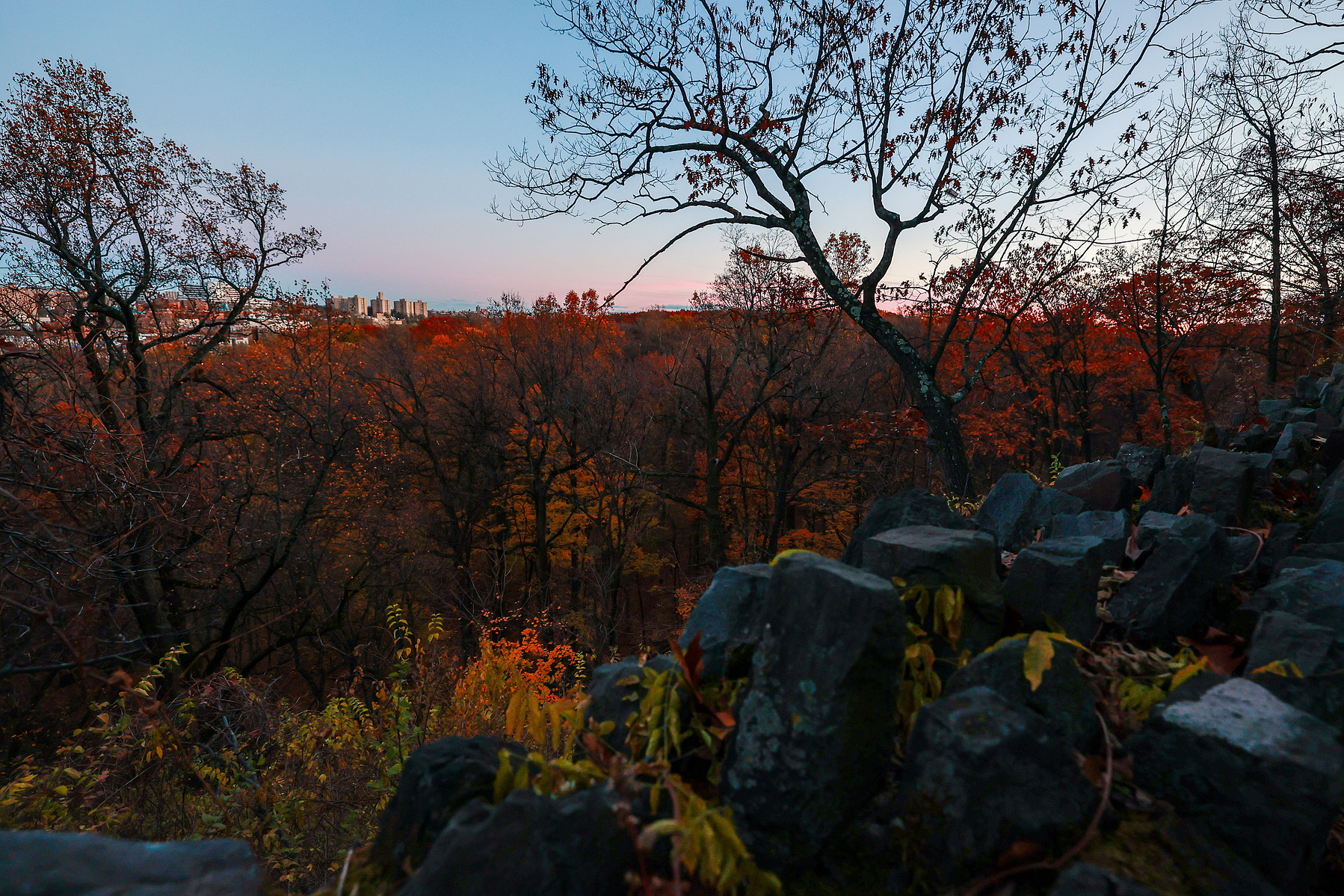 Northern Manhattan on a late autumn afternoon as viewed from a trail in Inwood Hill Park.