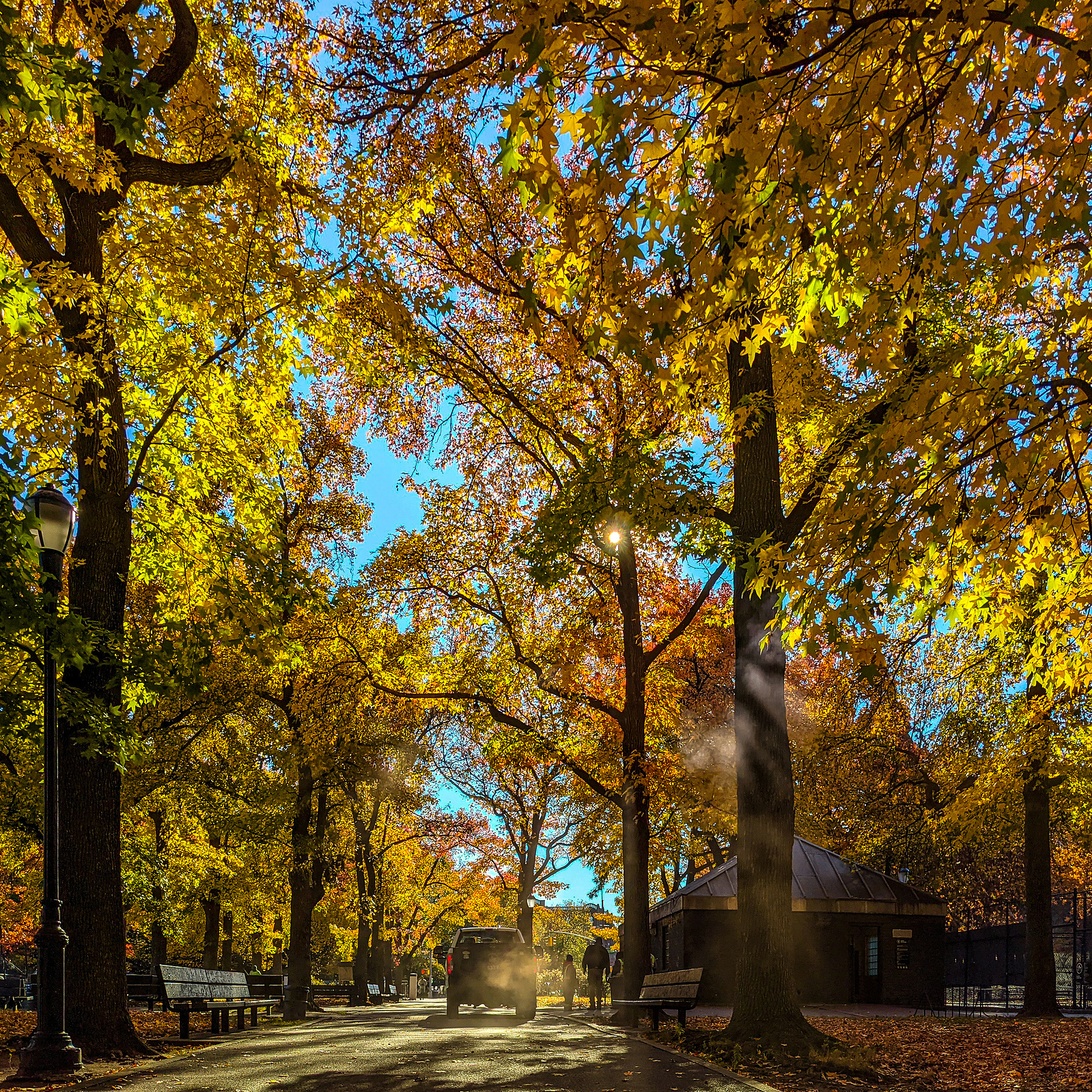 Fall foliage aglow in Manhattan's Inwood Hill Park.
