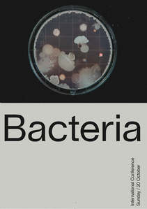 Experimentelles Posterdesign