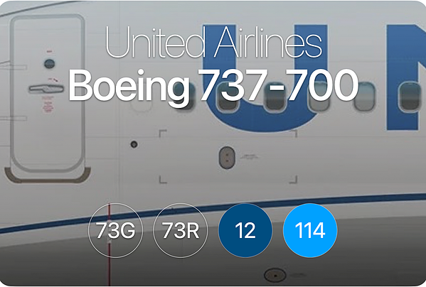 Boeing 737-700 UNITED ギア取り外し不可 スタンド無し