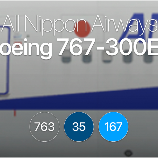 NH Boeing 767-300ER type 76E - AeroLOPA | Detailed aircraft NH Boeing 767-300ER type 76E - AeroLOPA | Detailed aircraft