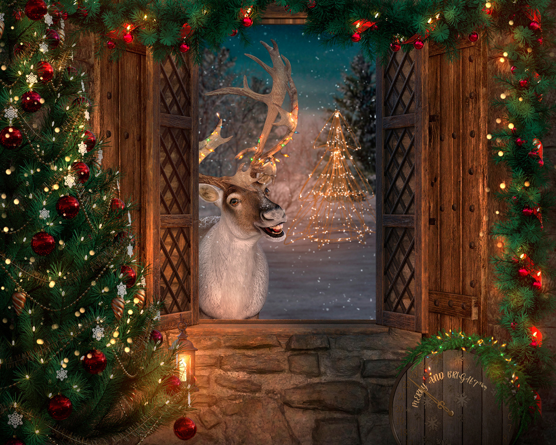Families! Don't Miss Out on Our Limited Winter Wonderland Portrait Sessions. Capture your family magic for your end of year seasonal greetings card with this  smiling reindeer surrounded by xmas lights as perfect background for your family portrait.