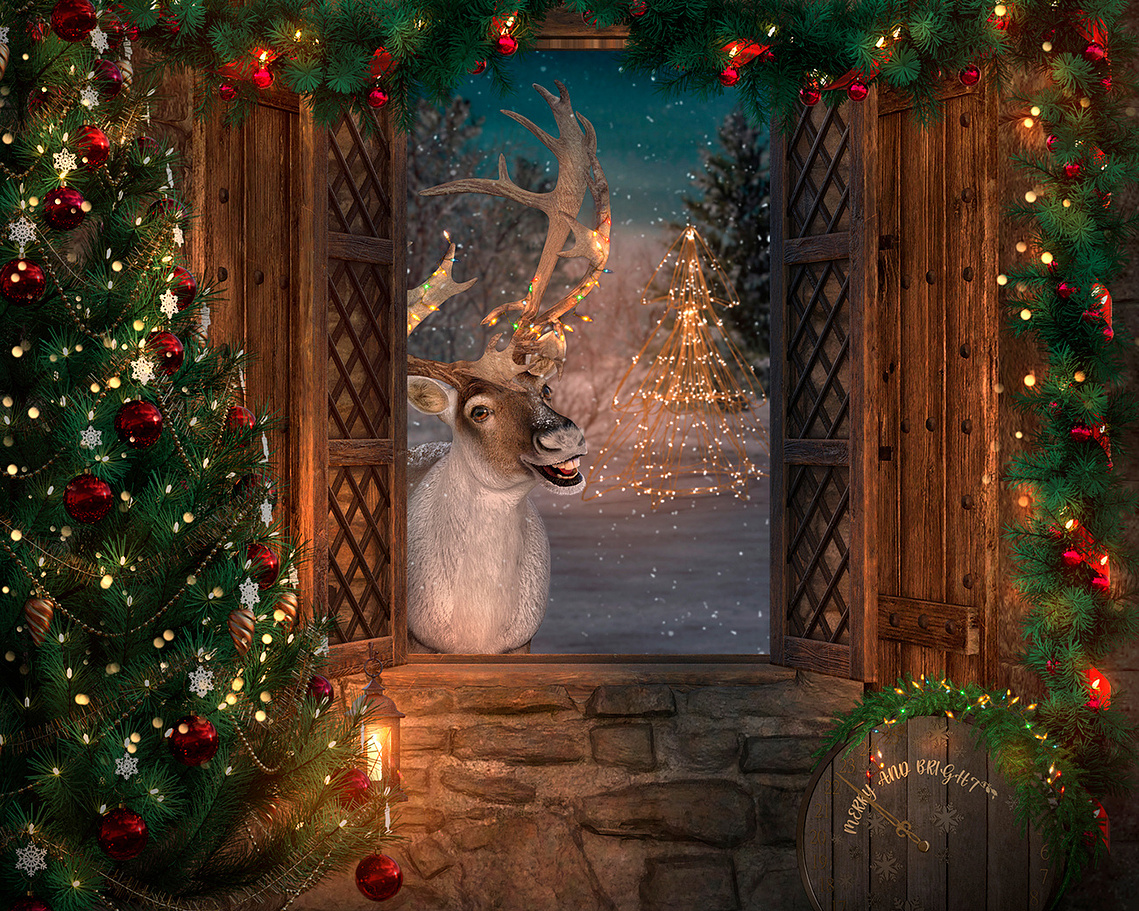 Families! Don't Miss Out on Our Limited Winter Wonderland Portrait Sessions. Capture your family magic for your end of year seasonal greetings card with this  smiling reindeer surrounded by xmas lights as perfect background for your family portrait.