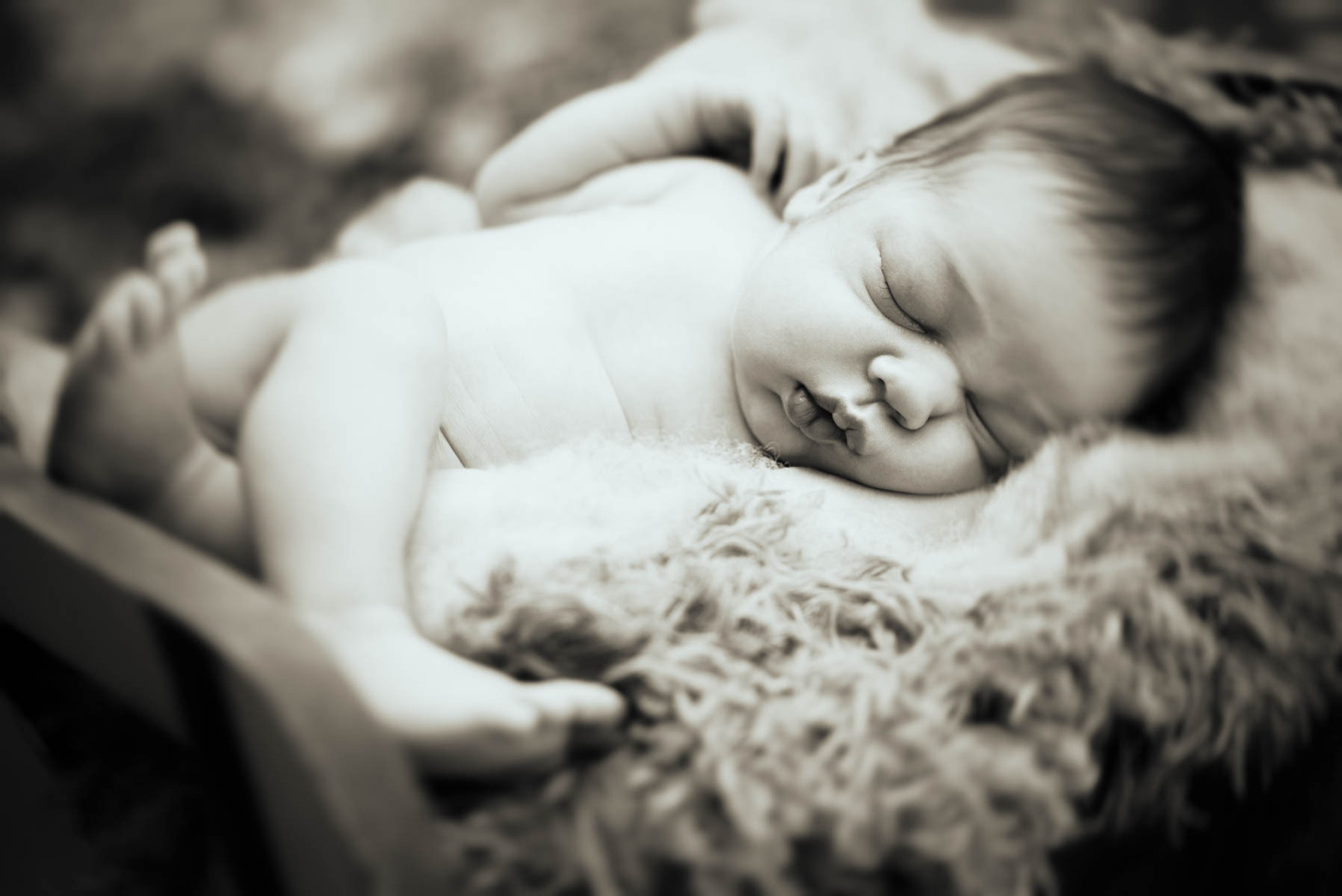 Black and white photograph of a newborn baby boy sleeping soundly on my home-made wooden bed on felt blankets near the river Seymaz, Chene-Bougeries.
