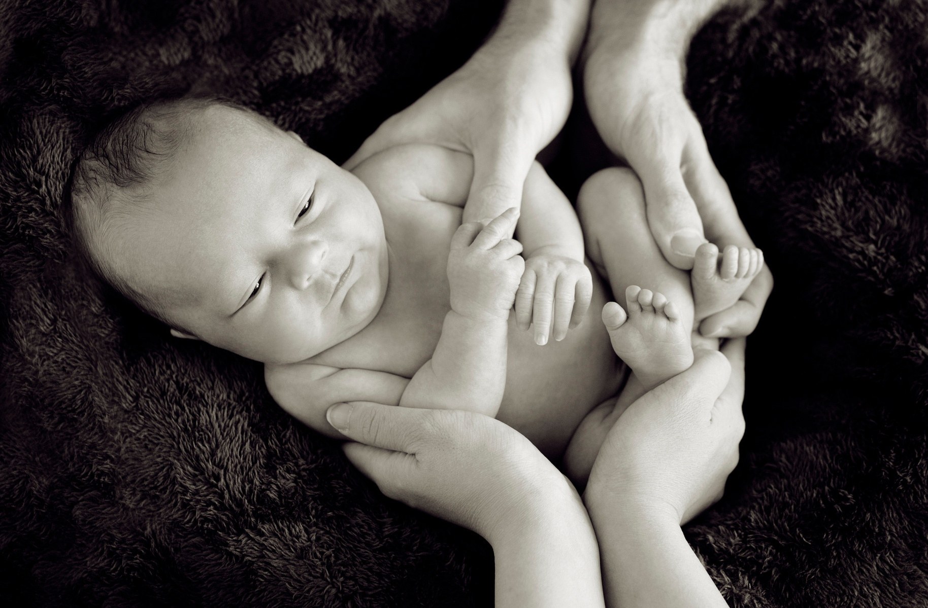 Black and white photograph of newborn baby boy being held in his parent's hands. Shot by photographer Helen Putsman, Geneva's leading family and newborn photographer based in Chêne-Bougeries.