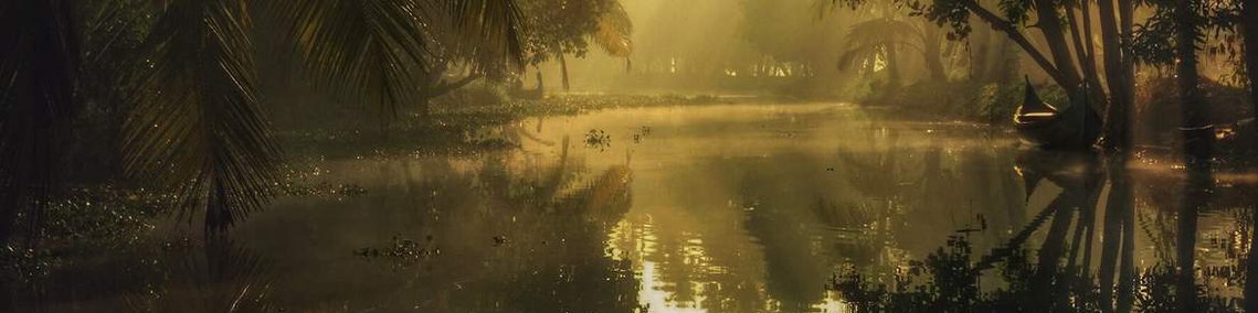 A misty morning on the Kerala Backwaters,  India. Travel Photography by Andrew Adams