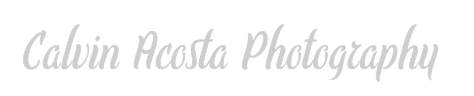 Calvin Acosta's Portfolio